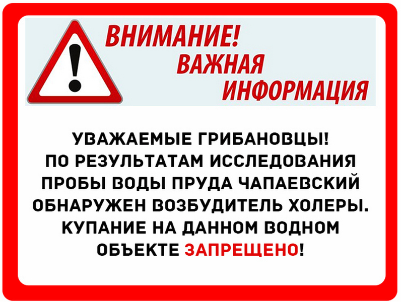 По результатам исследования проб воды в пруду Чапаевский Грибановского района обнаружен возбудитель холеры..